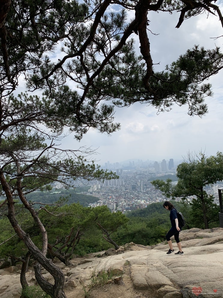  아차산 서울 등산 20대 후반 취미 찾기 : )