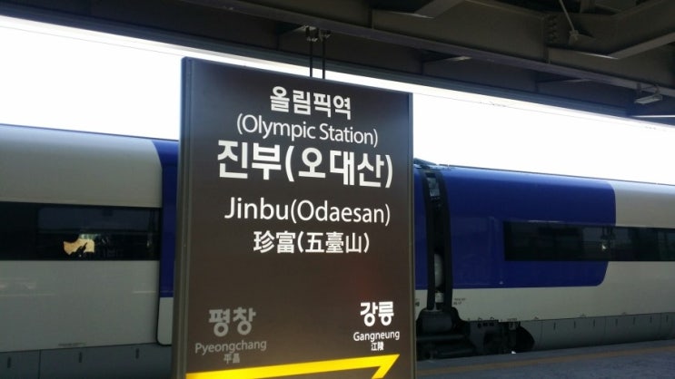  180215 평창올림픽 여자 크로스컨트리 직관