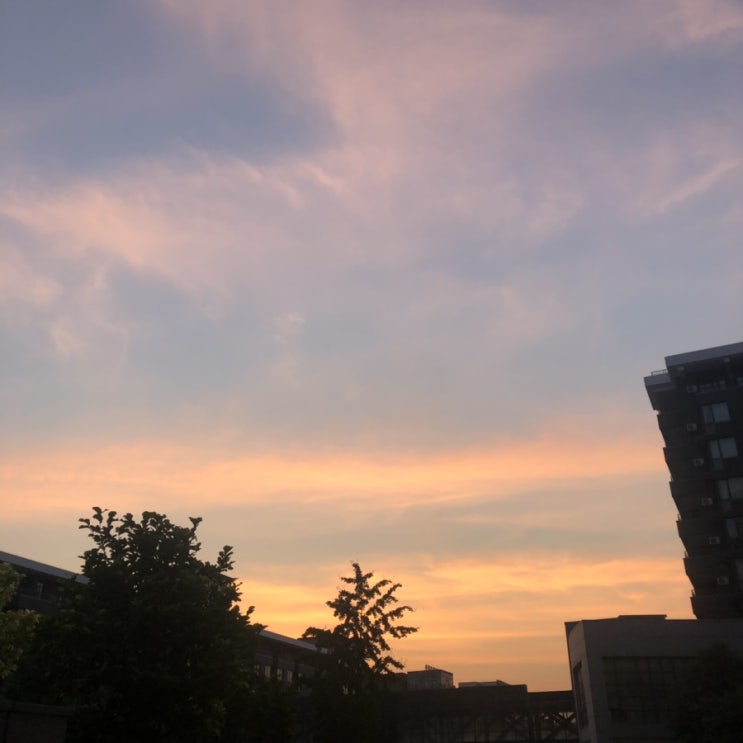  방학적 나날들