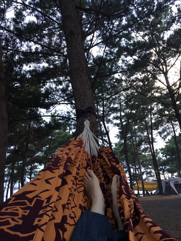  [태안] 태안 어은돌 오토캠핑장/카라반 캠핑