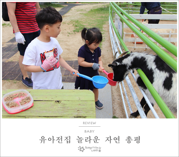  유아전집 놀라운 자연 총평 동물농장 체험기