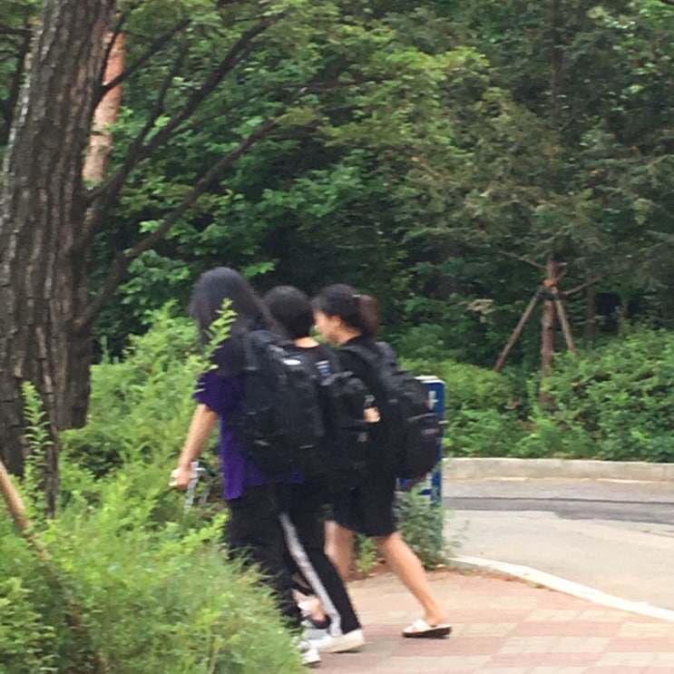  4학년 1학기 블랙넛 일기