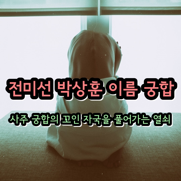 전미선 박상훈 다지음 이름 궁합 - 촬영감독 남편 배우자 영화 연애 임신 아들 전미선 박상훈 다지음 이름 궁합 - 촬영감독 남편 배우자 영화 연애 임신 아들