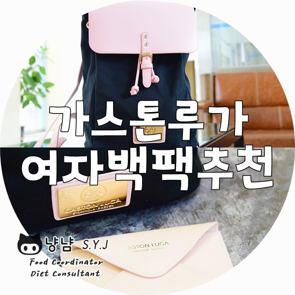  여자백팩추천 + 여권지갑 :: 가벼운 여성가방 가스톤루가
