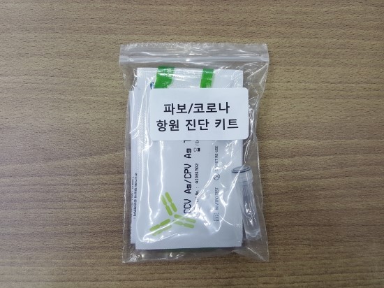  강아지 설사 묽은변 구토 식욕부진 등 코로나 파보 증상 확인후 파보장염 코로나장염을 의심해 호두언니 동물약국에서 코로나 파보바이러스 항원 진단키트 구입하기