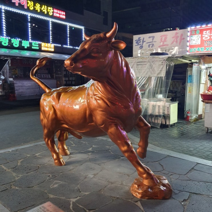  마장동 소고기 정육식당 영업시간 주차 유성집후기