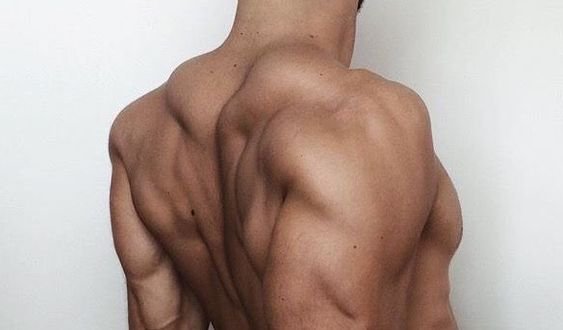 남성 성기능 향상에 좋은 영양제 모음(아연, 아르기닌, 레시틴, 마카) 남성 성기능 향상에 좋은 영양제 모음(아연, 아르기닌, 레시틴, 마카)