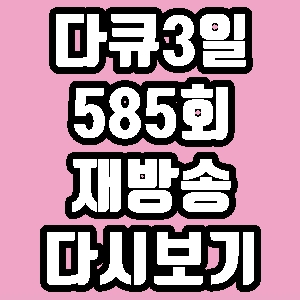 다큐3일 대구 서문시장 야시장 585회 재방송 다시보기 방송시간 편성표