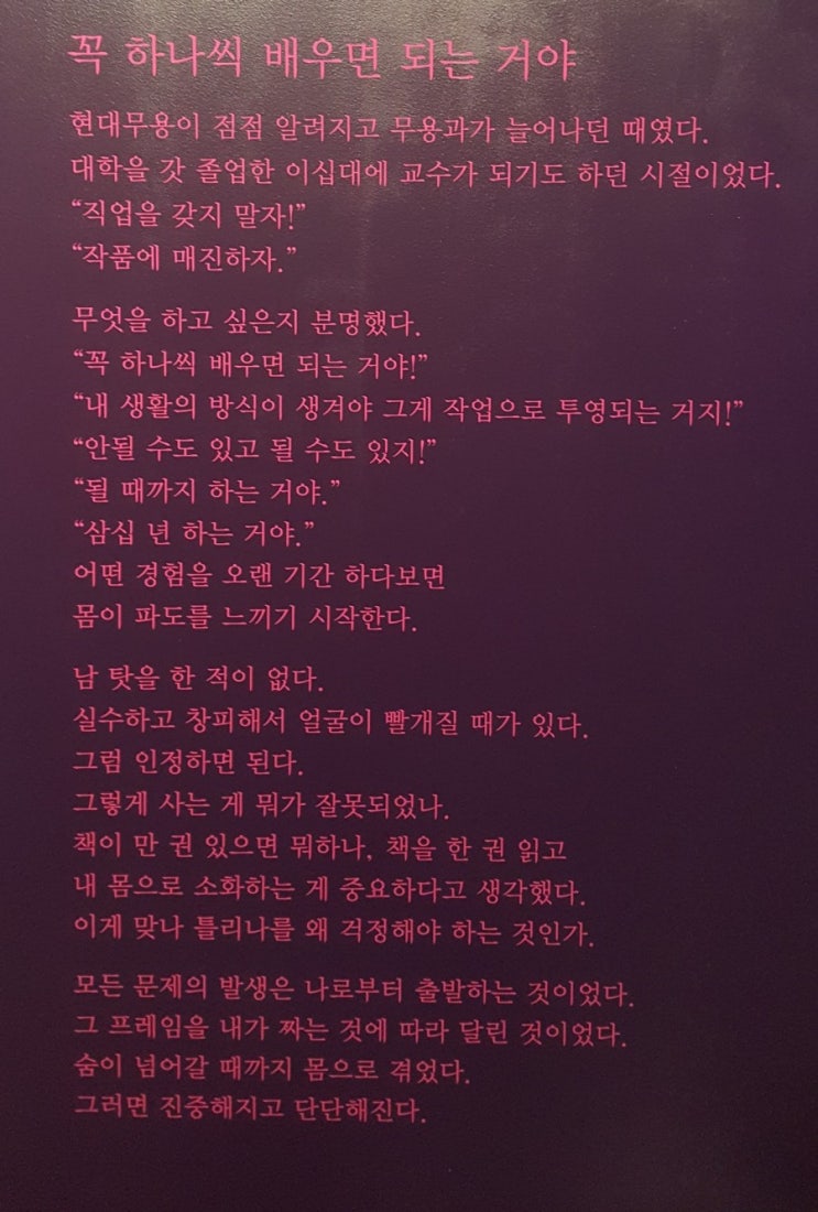  안은미래 known future 서울시립미술관 서소문본관전시 19.06.26-19.09.29