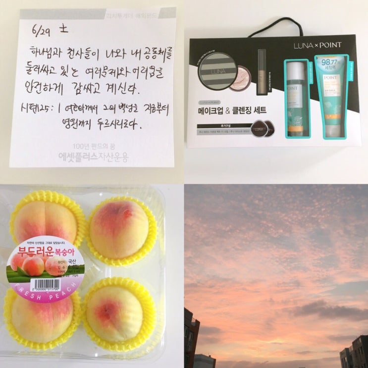  20190629(토)