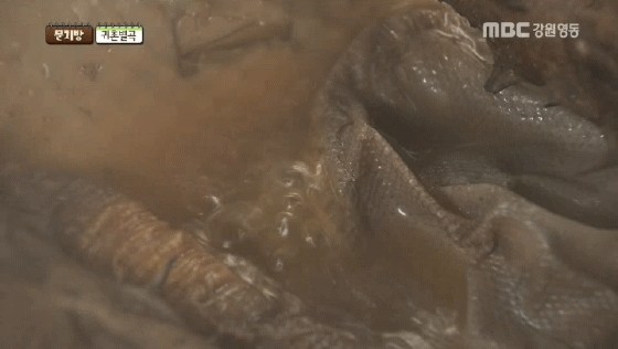  닭백숙 재료 이거 하나면 여름준비 끝이래요~~