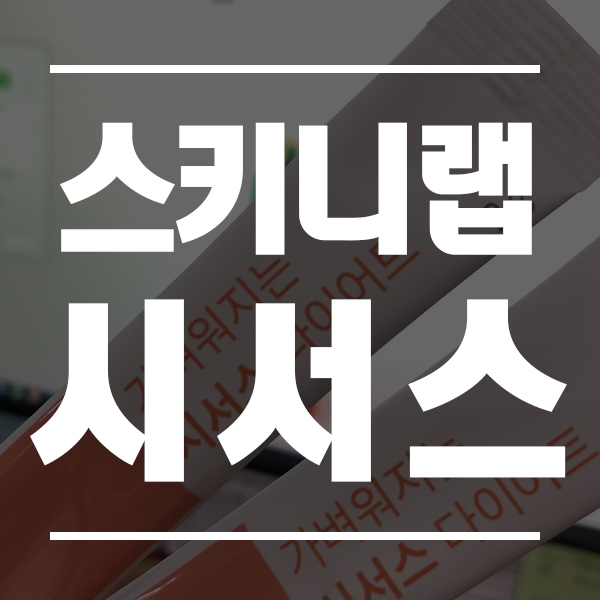  스키니랩 시서스 4주 후기