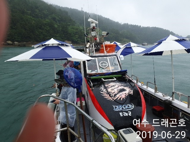  여수드래곤호:) 6월29일 돌문어 수중전 / 비오는날낚시 힘든낚시