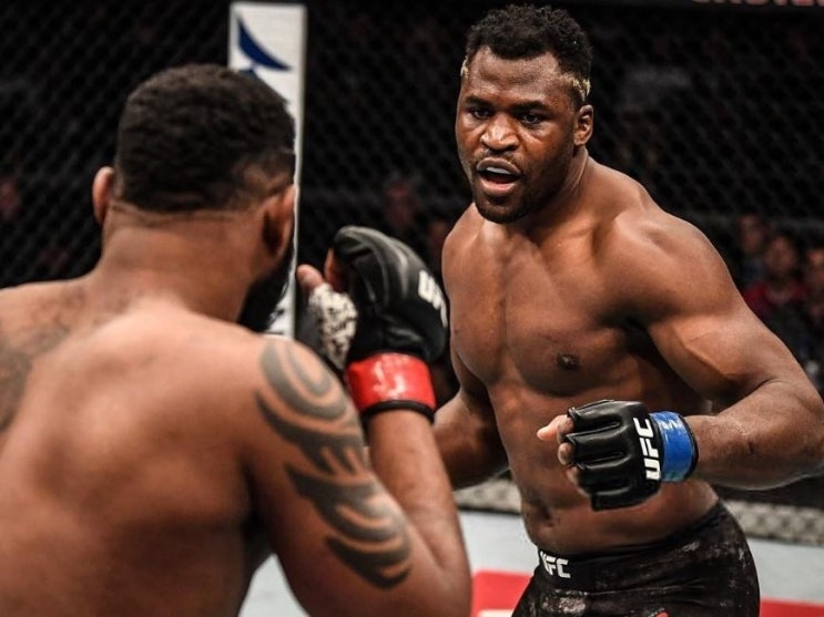  UFC on ESPN3 프란시스 은가누 도스 산토스 매치업 프리뷰 (feat. ufc 241 코미어 미오치치 승자와 대결할 선수는?!)