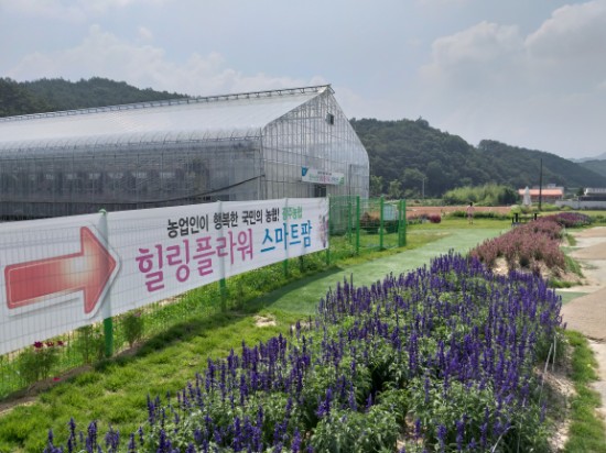  농협 로컬푸드,힐링플라워 스마트팜, 광주근교나들이