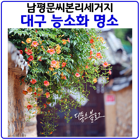 대구 능소화 1번지 남평문씨본리세거지(인흥마을)
