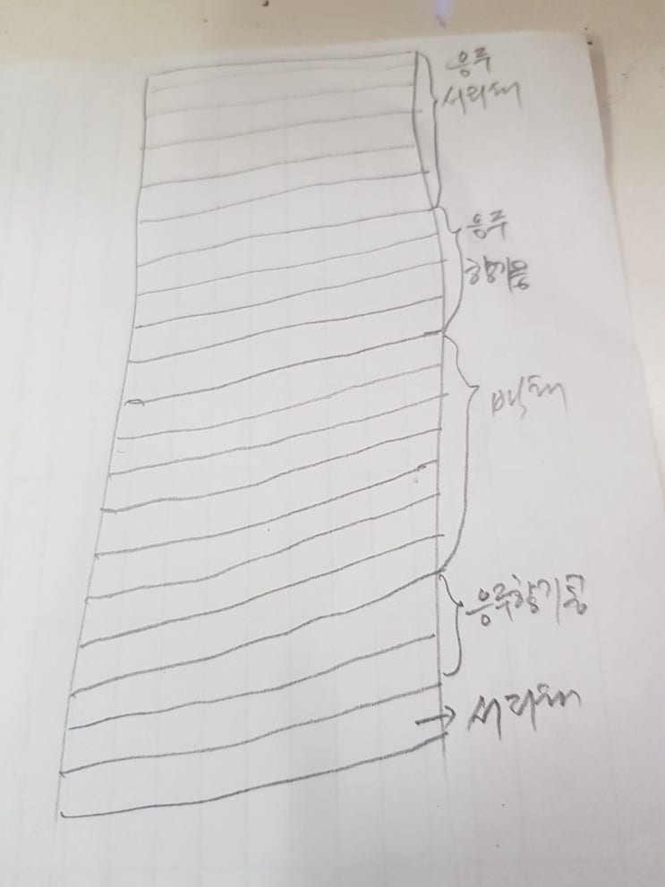  콩 모종 만들기~응두 향기 콩 서리태 백태
