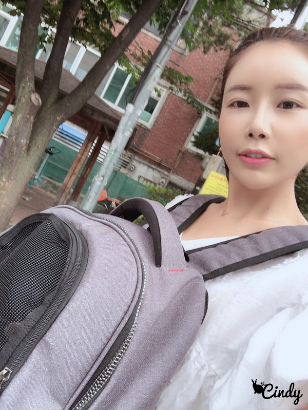  [토끼병원] 피비투병일지 1-2일차, 토끼신부전 판정 (차오름동물병원)