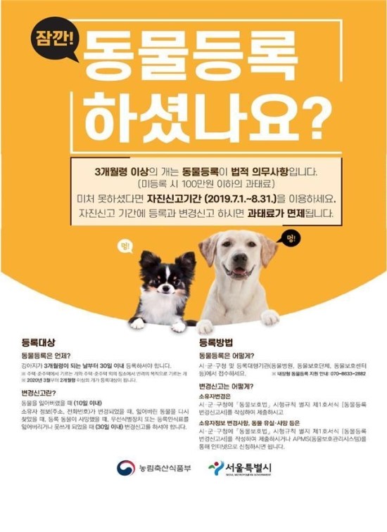  8월말까지 반려동물 등록 안하면 과태료 100만원 이하