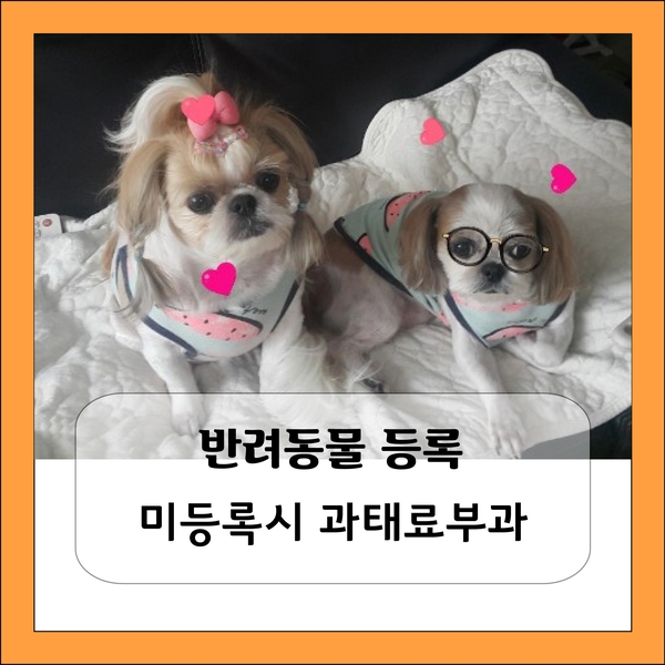  반려동물 등록제 시행! 미등록시 과태료 부과!!