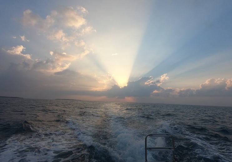  [몰디브] 신혼여행 2일차 (피놀루 리조트 선셋크루즈)