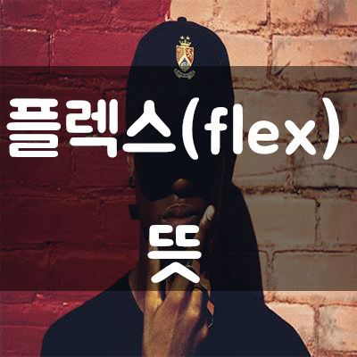  【flex 플렉스 뜻】 // 요즘 힙합 대세?!