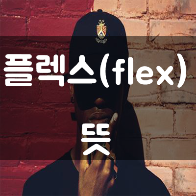 【flex 플렉스 뜻】 // 요즘 힙합 대세?!