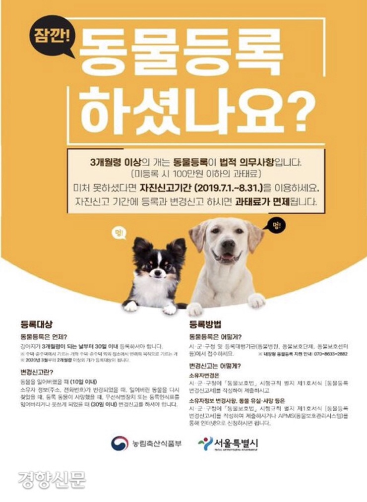  반려동물 등록제 , 온라인 등록 ,동물병원 등록 ,내장형,외장형 [개루개루멍멍]