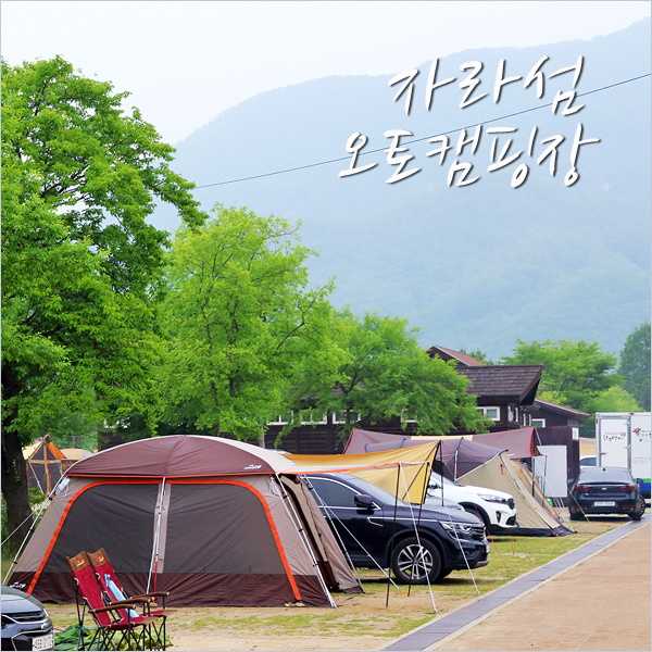 경기도 가평 자라섬 오토캠핑장 소경