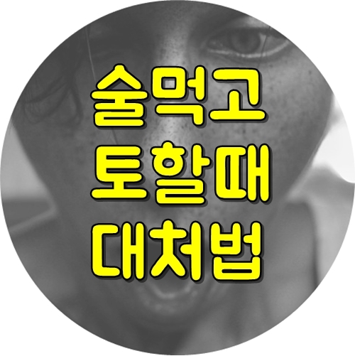  술먹고 토할때 대처법과 술먹고 토안하는법