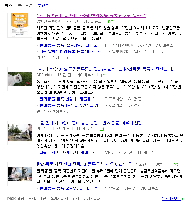  반려동물 등록 의무(강아지)와 용인시 동물등록증