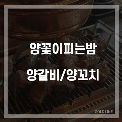 대전 양갈비 맛집 도안동 양꽃이피는밤!
