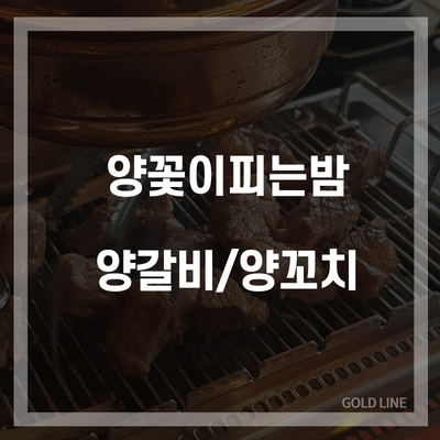  대전 양갈비 맛집 도안동 양꽃이피는밤!