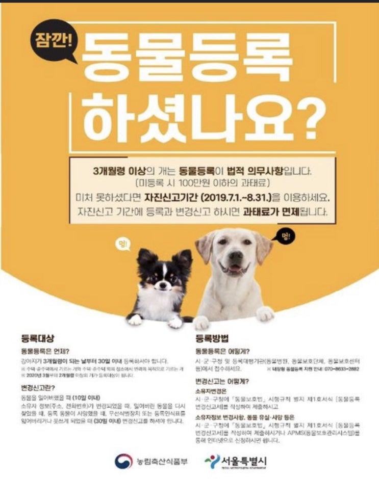  반려동물 등록방법, 미등록 과태료