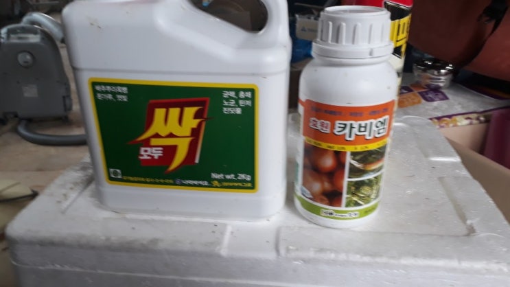  고추 재배 텃밭 모두 싹 솔직 사용 후기