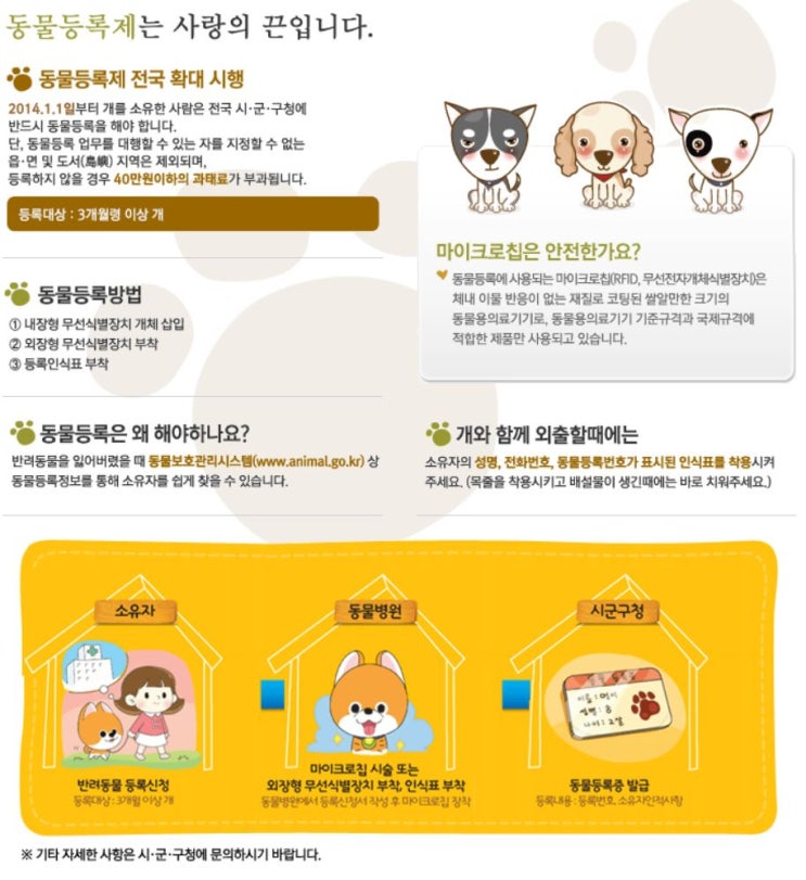  7월 1일부터 시행된 반려동물 등록 하세요! 안하면 최대 100만원 과태료