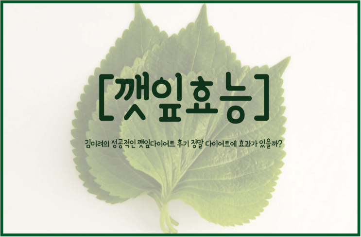  김미려 깻잎 다이어트 14kg 감량 깻잎 덕분이다? 깻잎 효능