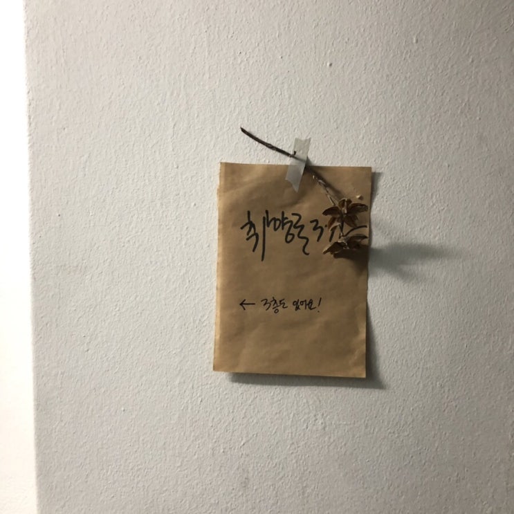  6월
