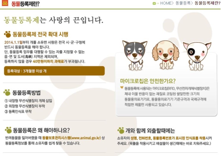  반려동물 등록 합시다 / 반려동물 등록 강화 / 반려동물(반려견) 등록 자진기간 / 자진기간 내 등록을 하지 않으면 과태료 최대 100만원 / 잡지식
