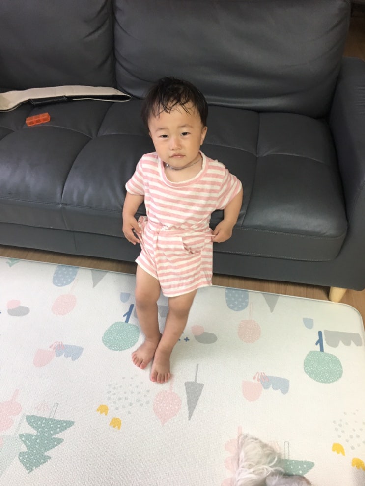  나무아빠의 육아일기(53)