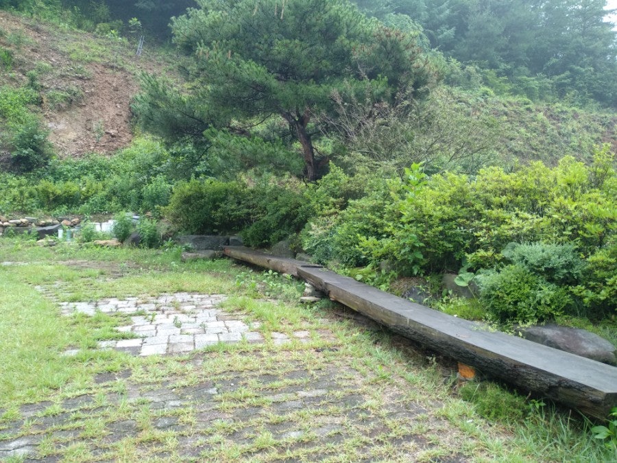 달팽이 아지트팬션 사진 3