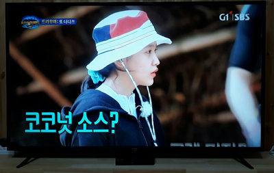 Prism TV 65인치 가성비 갑