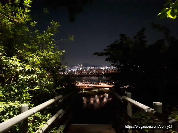  응봉산 산책