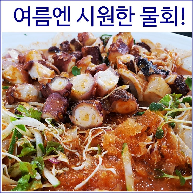 여름엔 시원한 물회! 싱싱연신내회집