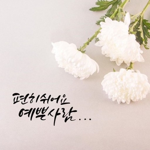  친한 친구를  보낸것 같이  많이 아쉽다---편히 쉬어요  예쁜사람...