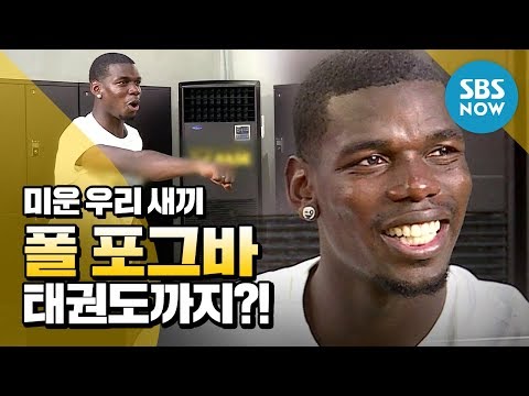 [미운 우리 새끼] '폴 포그바(Paul Po 야구/ 축구/ 무료영상/ 스포츠/ 유튜브반응