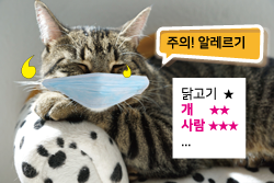  동물도 알레르기가 있다 그것도 사람 때문에