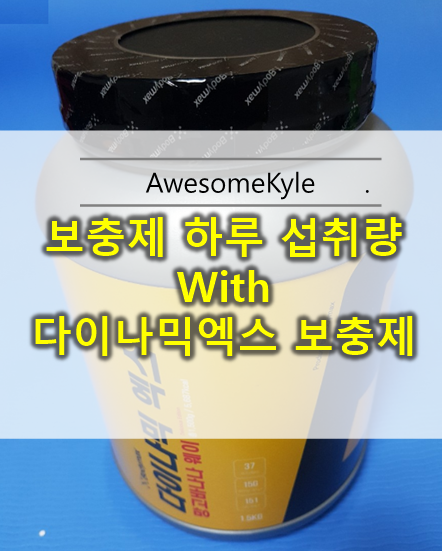  보충제 하루 섭취량  및 보충제 추천 : 다이나믹엑스 보충제