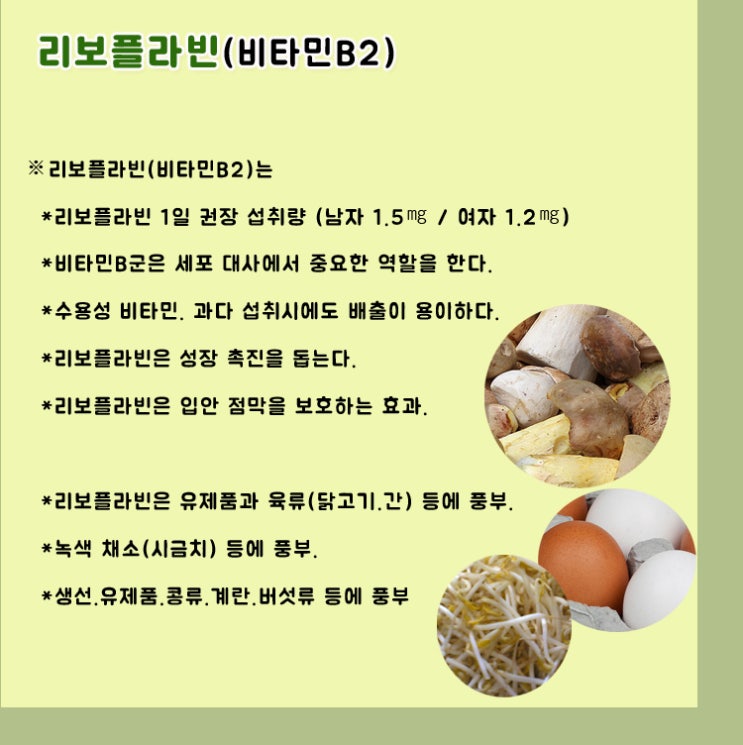  보플라빈(비타민B2)