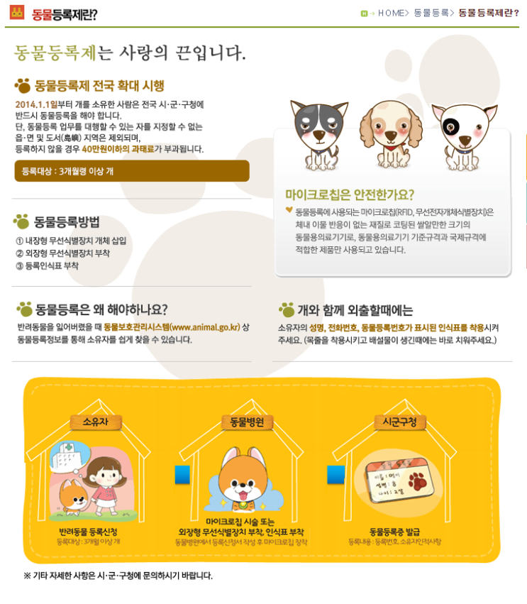  반려동물 등록제 필수 !! 7월 8월 자진신고기간